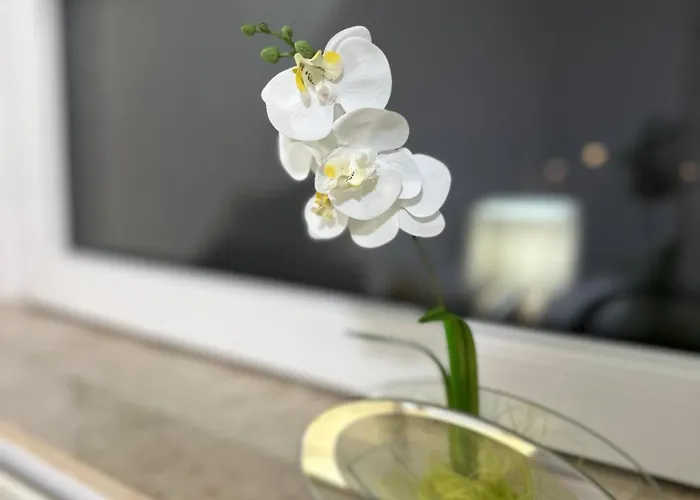 Exklusiv Hamburg Stadtrand-villa Mit Garten *